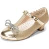 imageDREAM PAIRS Girls Dress Shoes Mary Jane Heel TStrap Party Flower Wedding Princess Pumps for Little Big KidGold