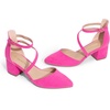 image:imageDREAM PAIRS Womens Closed Pointed Toe Low Chunky Heels Pumps Ankle Strap Wedding Business Dressy ShoesHot Pinksuede