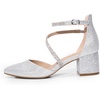 image:imageDREAM PAIRS Womens Closed Pointed Toe Low Chunky Heels Pumps Ankle Strap Wedding Business Dressy ShoesSilver