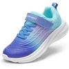 Navy/Purple/Blue
