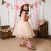 image:imageDREAM PAIRS Girls Boys Cowboy Cowgirl BootsPinkBrown