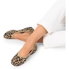 image:imageDREAM PAIRS Womens Dress Knit Ballet Comfort FlatsLeopard