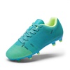 Blue/Neon Green